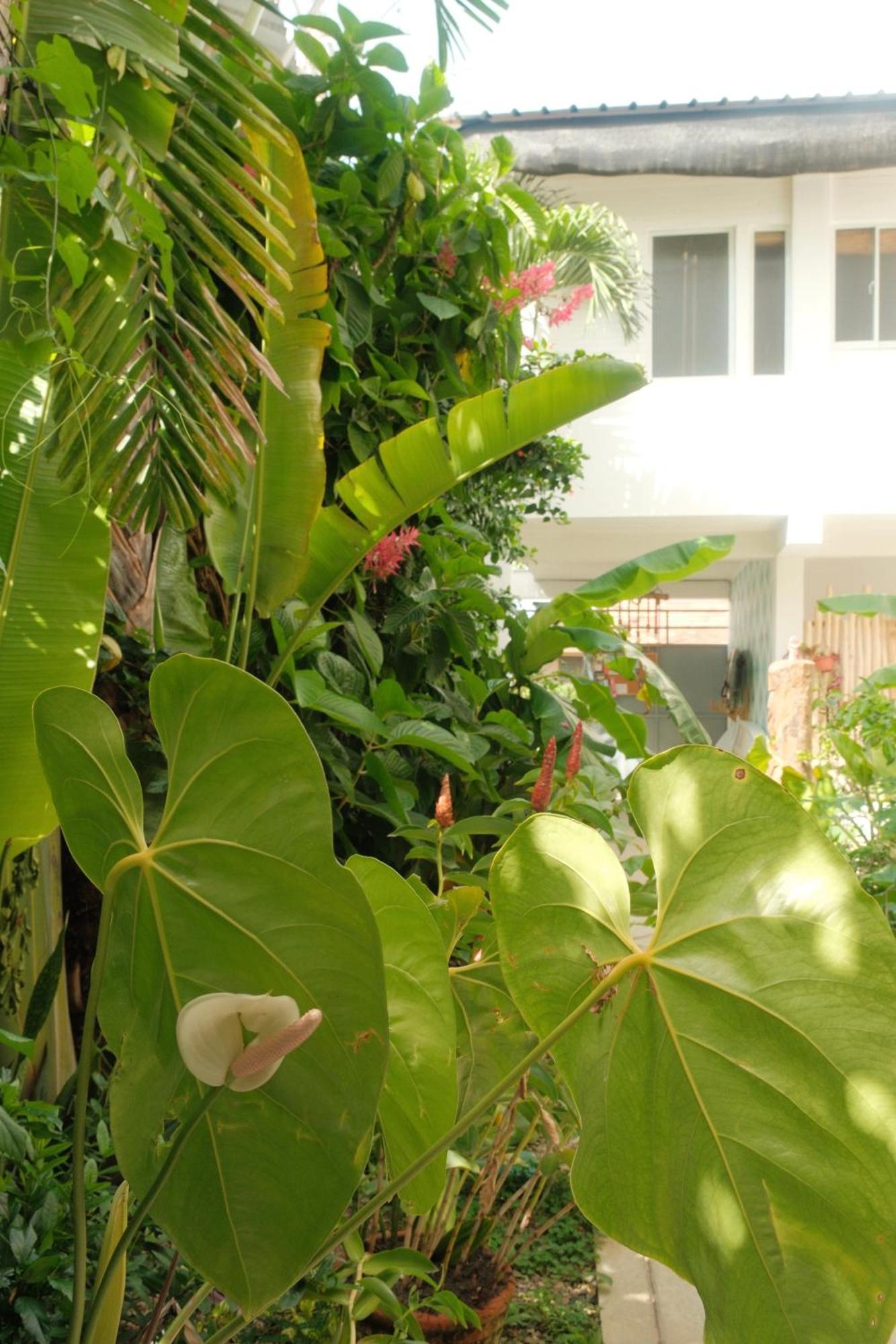 Kite House Cabarete Across Kite Beach Esterno foto