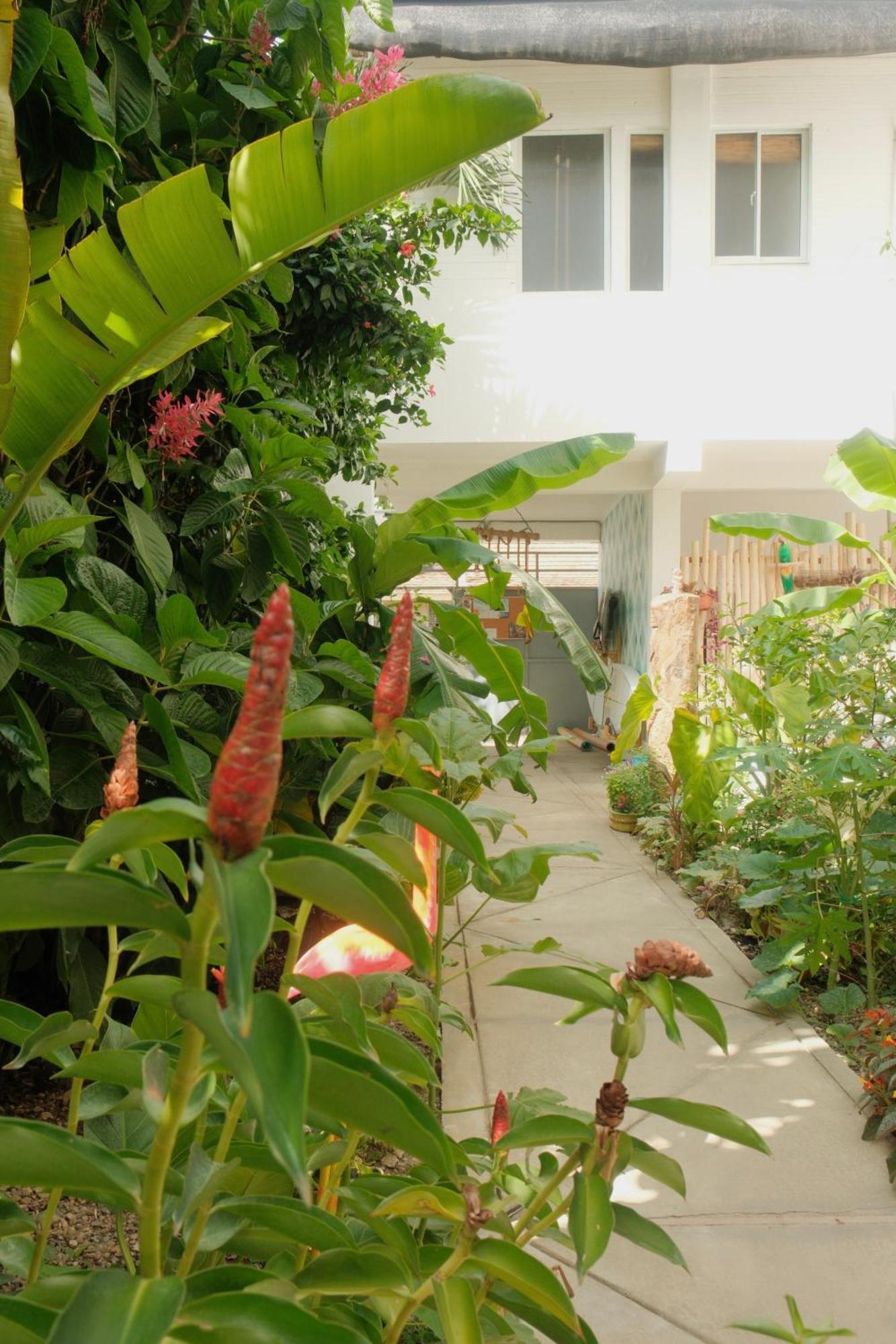 Kite House Cabarete Across Kite Beach Esterno foto
